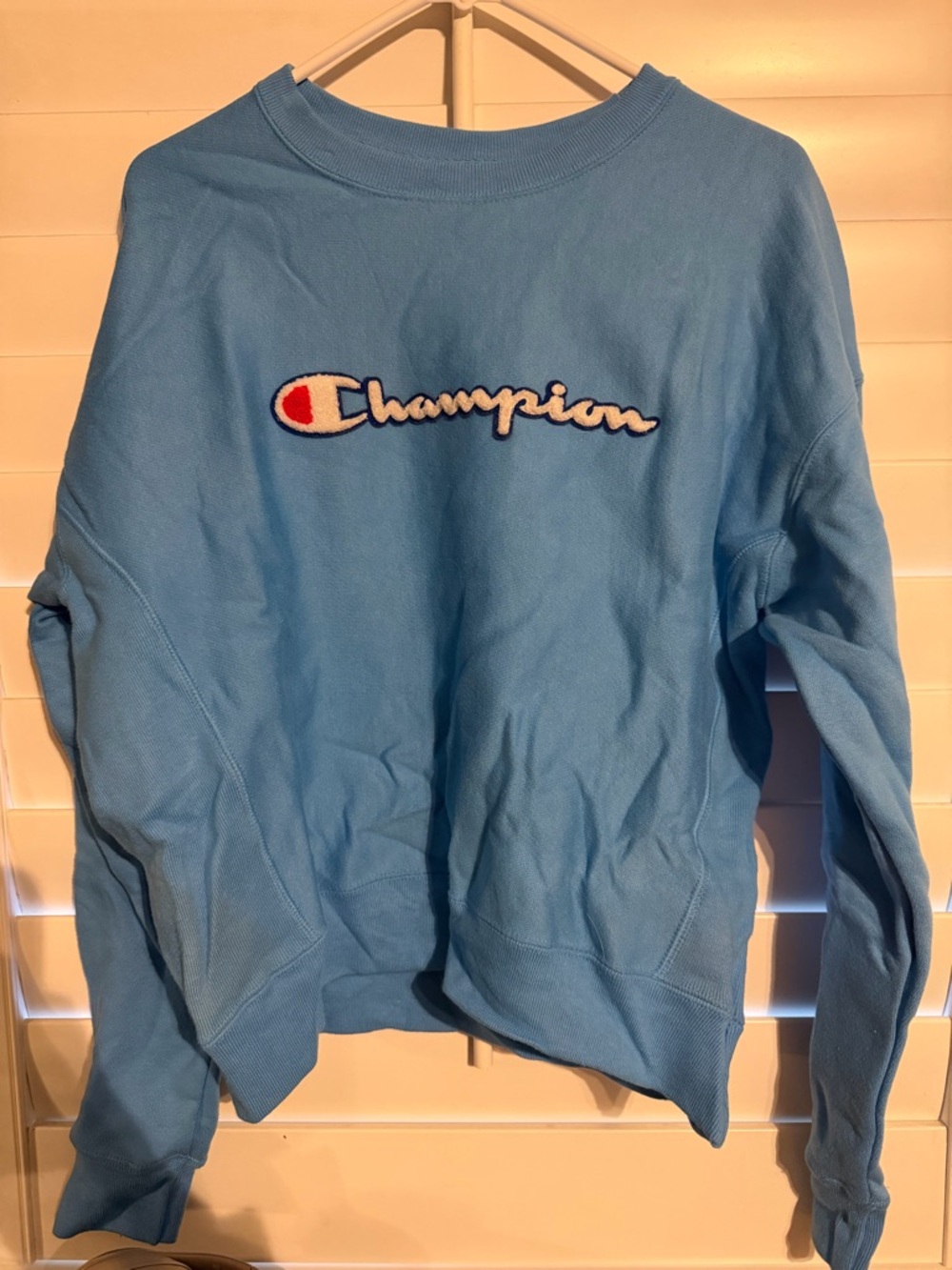 Champion Sky Blue Reverse Weave Sweatshirt